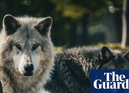 Это практика удовольствия, интеллектуальный голод, охота на чистую Идею